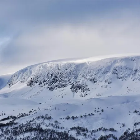 Cozy Apartment Near Ski Attractions Geilo Extérieur photo