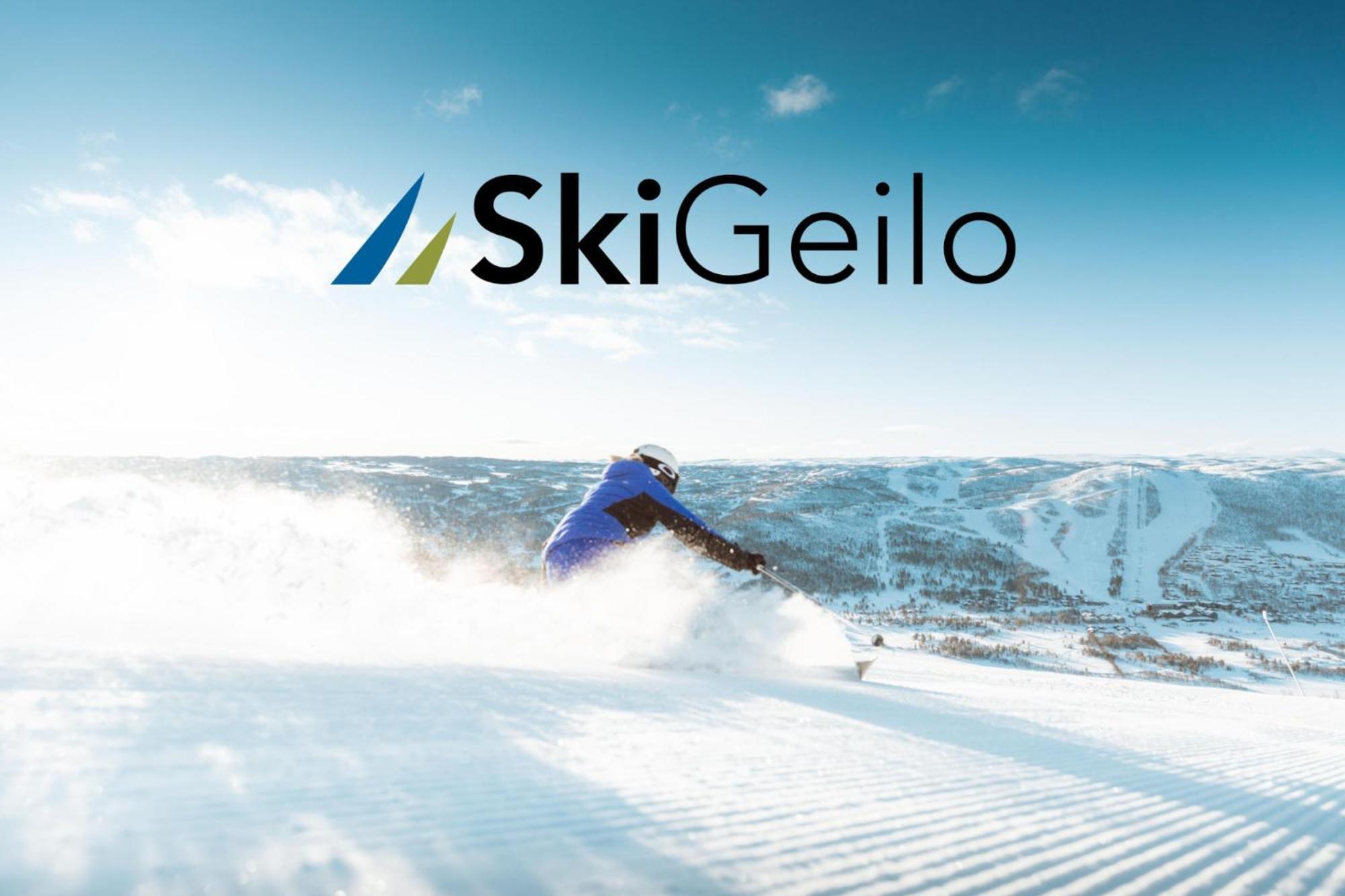 Cozy Near Attractions Apartment Geilo